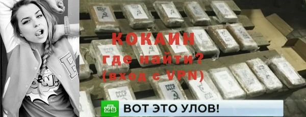 бошки Богданович