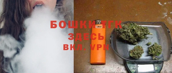 бошки Богданович