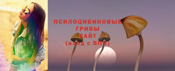 скорость mdpv Богородицк