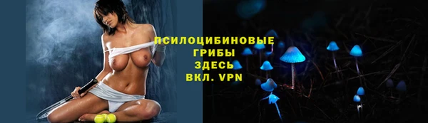 скорость mdpv Богородицк
